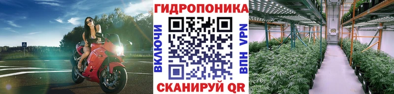 Бошки Шишки семена Ступино